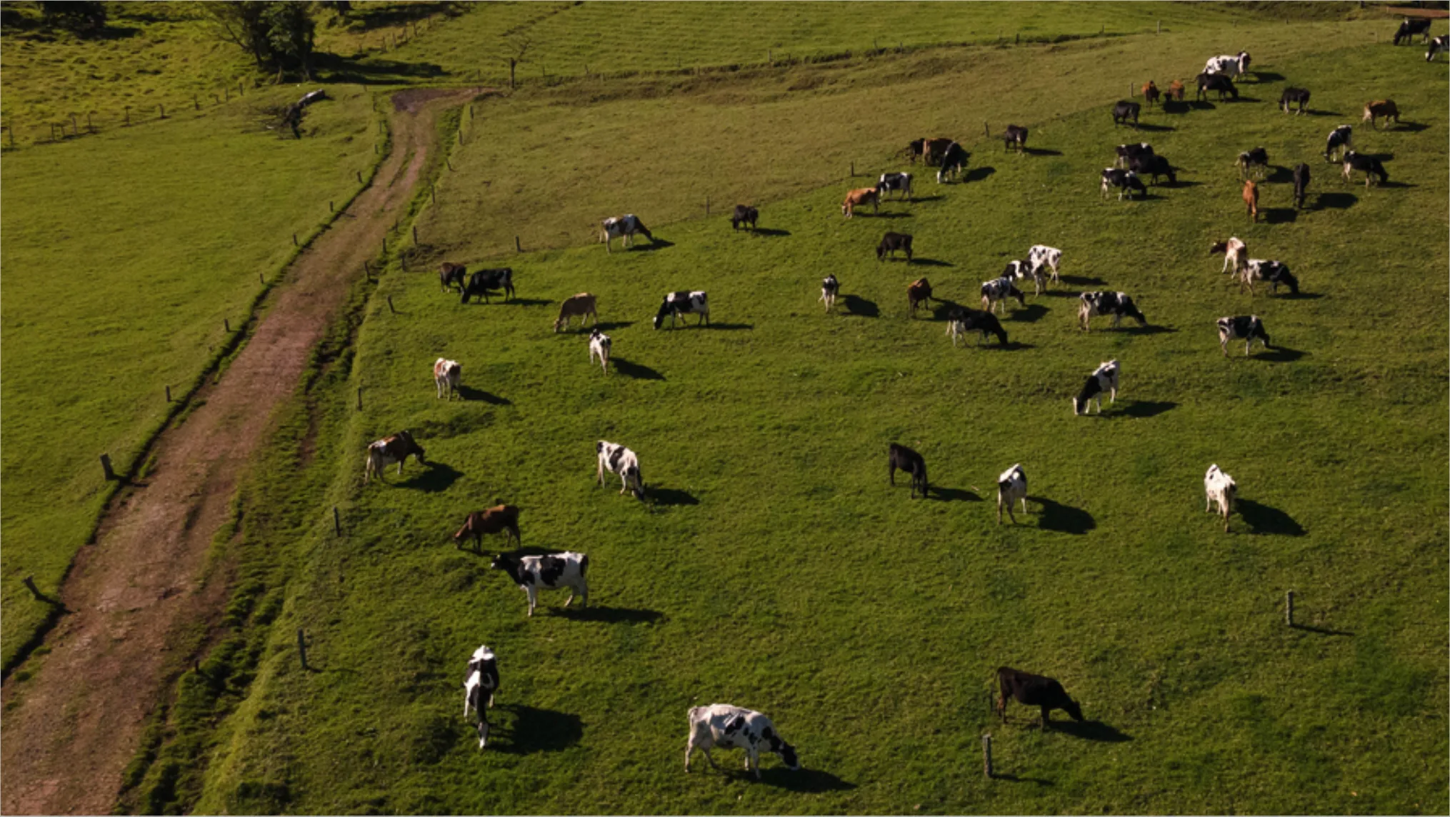 Agriculture drone applications
